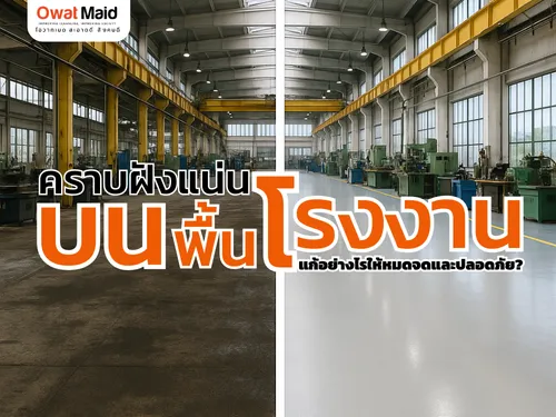 คราบฝังแน่นบนพื้นโรงงาน แก้อย่างไรให้หมดจดและปลอดภัย? | OwatMaid