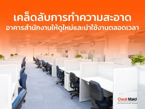 เคล็ดลับการทำความสะอาดอาคารสำนักงานให้ดูใหม่และน่าใช้งานตลอดเวลา