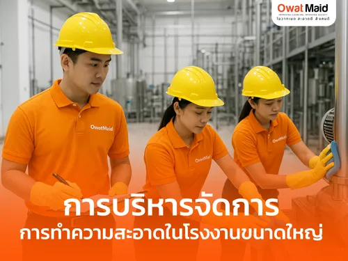 การบริหารจัดการการทำความสะอาดในโรงงานขนาดใหญ่
