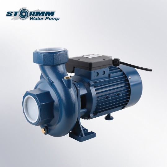 SCS300