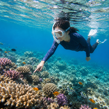 Snorkeling01