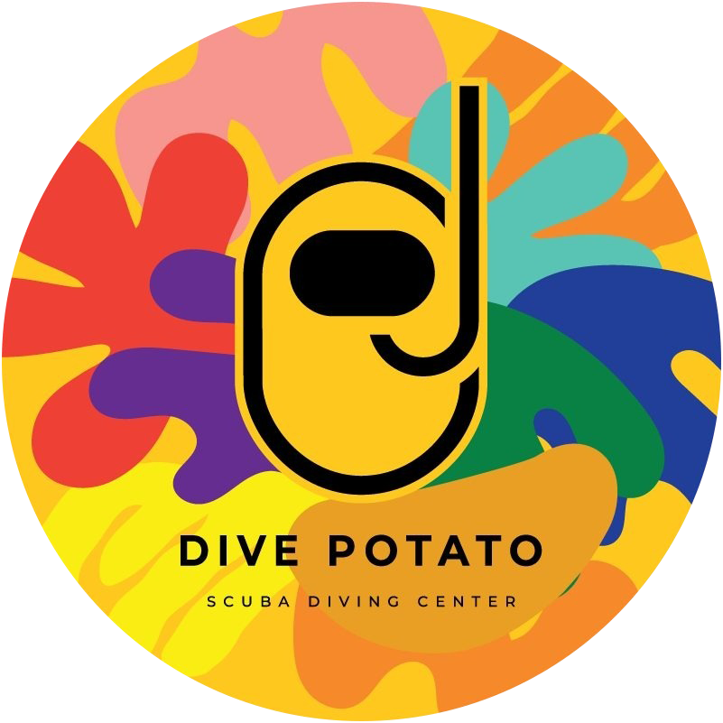 dive-potato