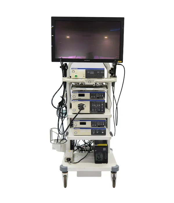 600x700OLYMPUSEVISEXERAIIICV-1907500098MASTE,OLYMPUSEVISEXERAIIICLV-190