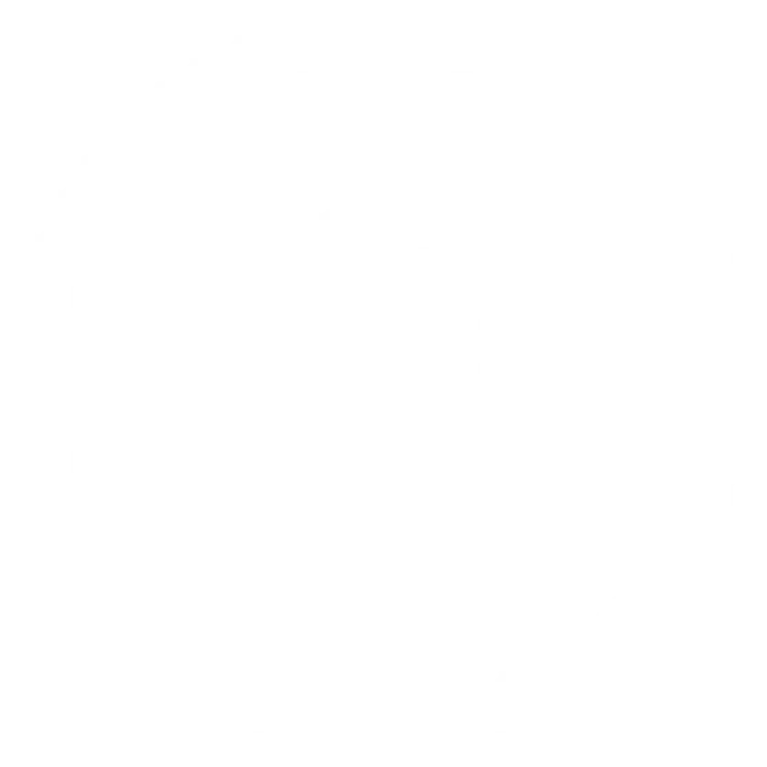 icon-face2909560770607
