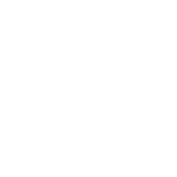 icon-face