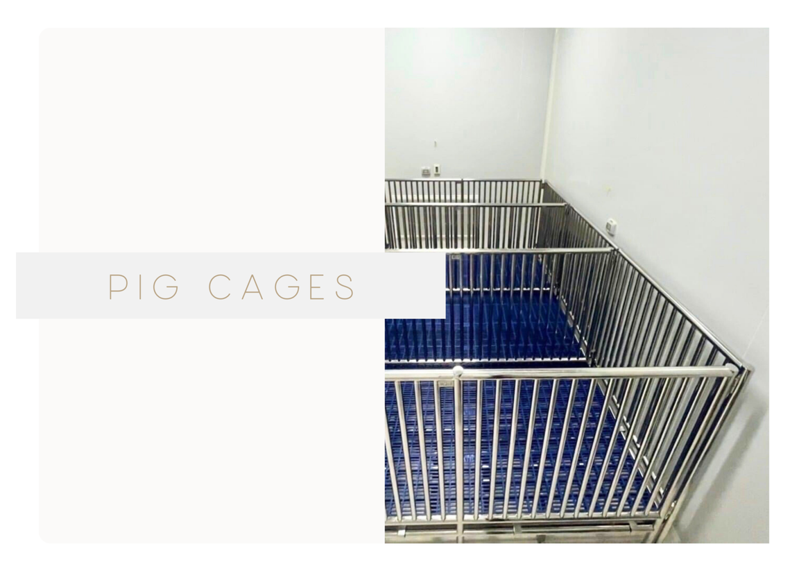 monkeycage(6)