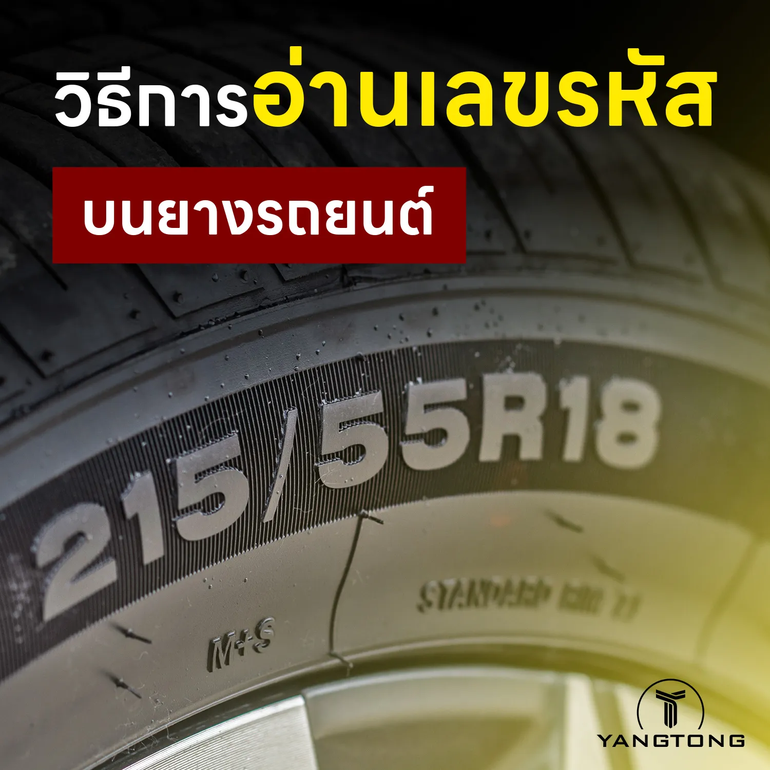 1-วิธีการอ่านรหัสบนยางรถยนต์-ตัวเลขต่าง-ๆ-บอกอะไร--