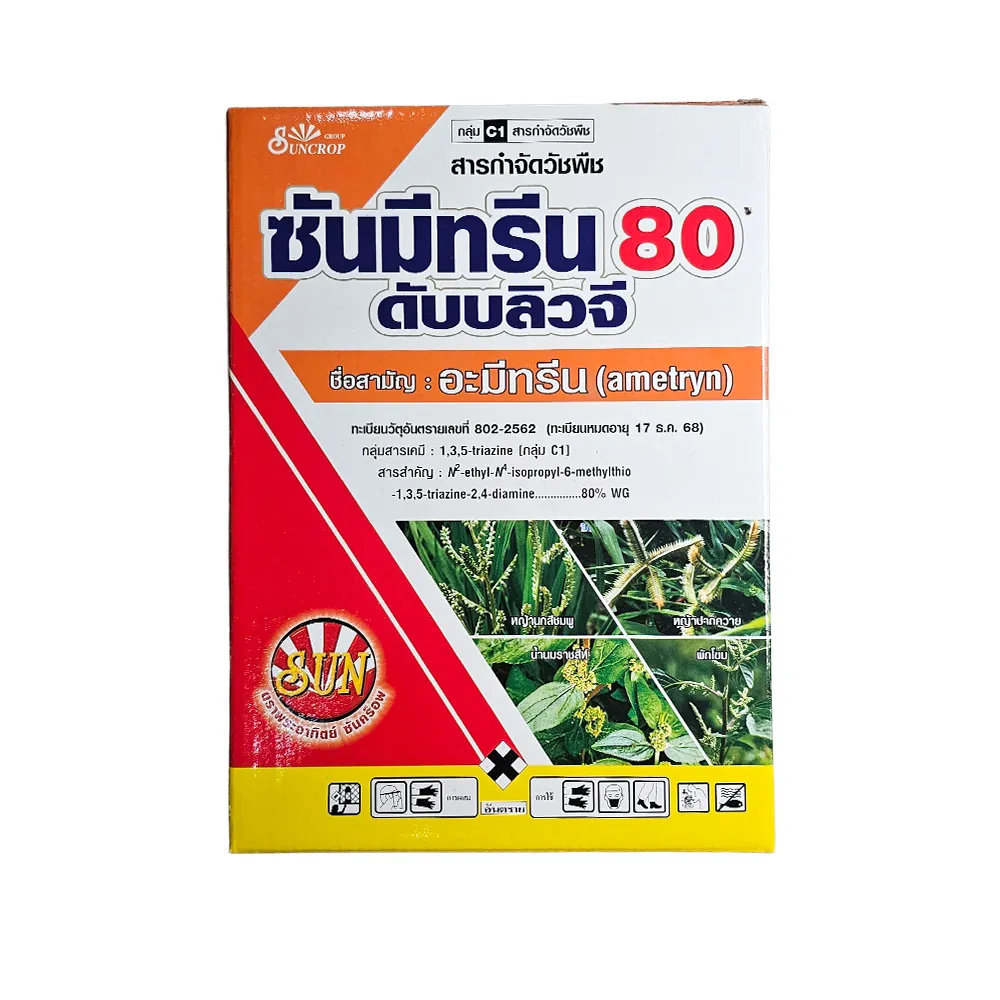 ซันมีทรีน80ดับบลิวจี