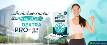 thaifd-02