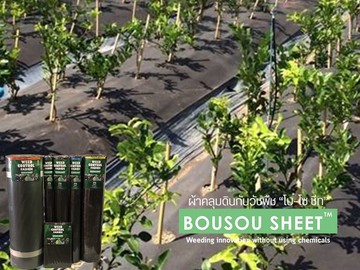 Bousousheet(6)