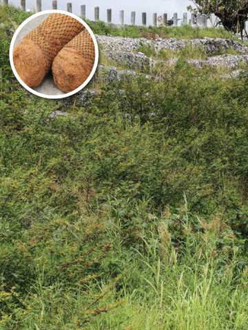 GREENMAT