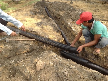 Neodrain(1)