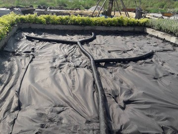 Neodrain(8)