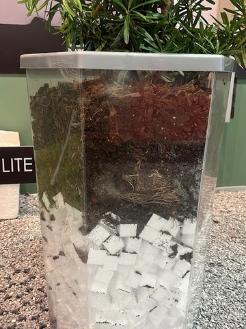 Planter(2)