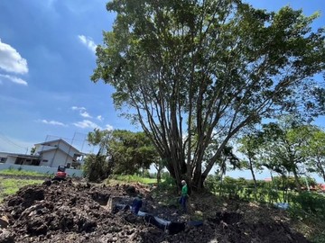 RootBarrier(9)