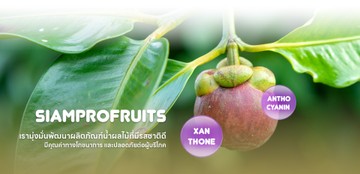 siamprofruitsslide2