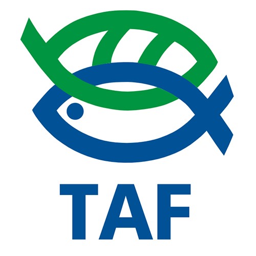 TAF