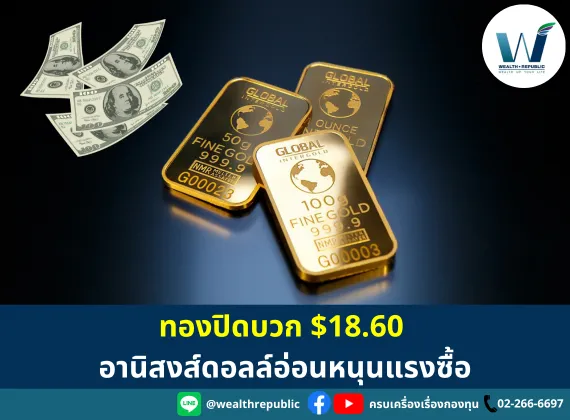 Website(95)
