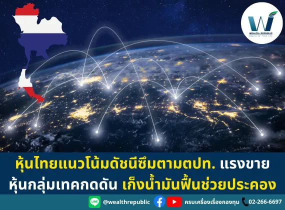 Website-2024-07-18T105130