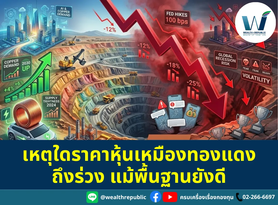 Website-2026-03-24T104828