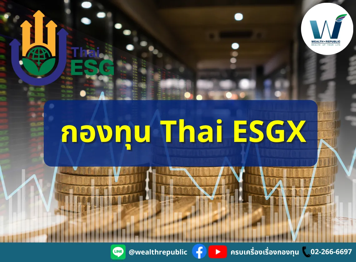 Website-2025-03-12T112208