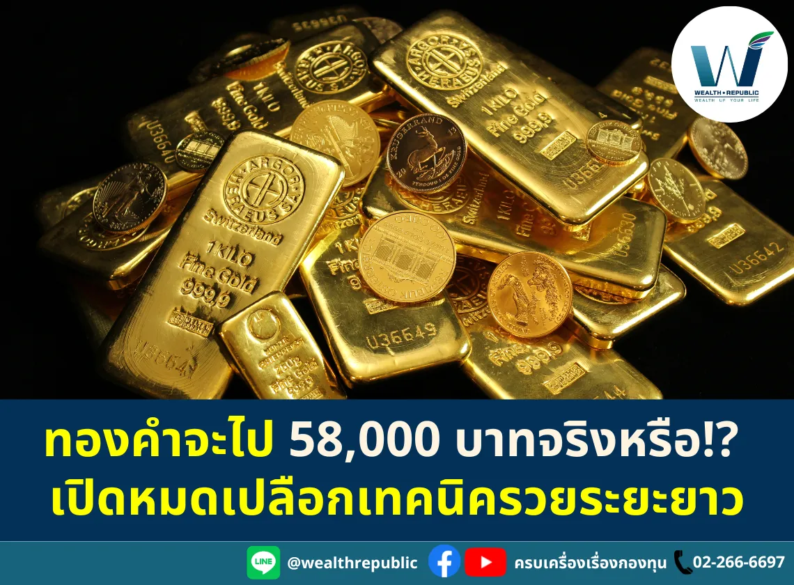 Website-2025-07-09T113746