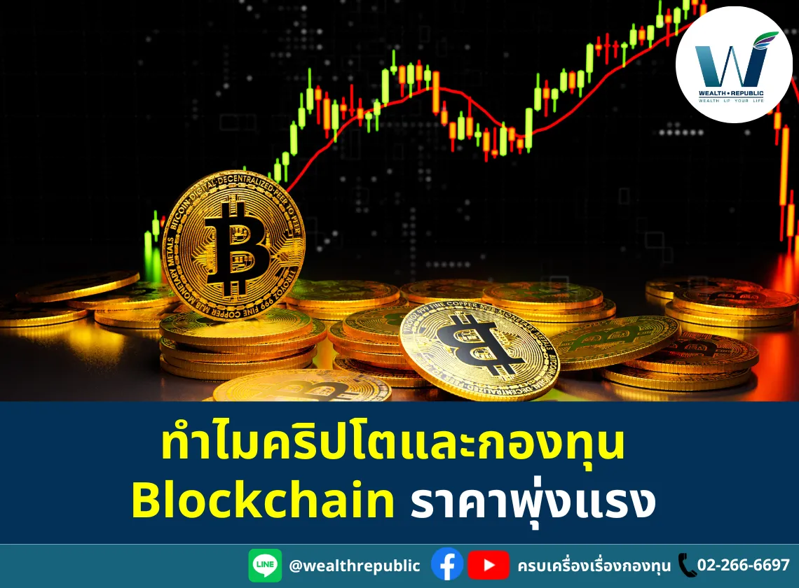 Website-2025-07-17T104428
