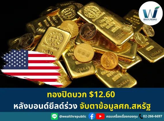 Website-2024-07-24T133623