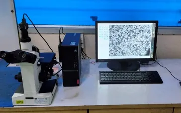 MICROSTRUCTUREAND
