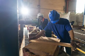 MouldingMaking21398580346442