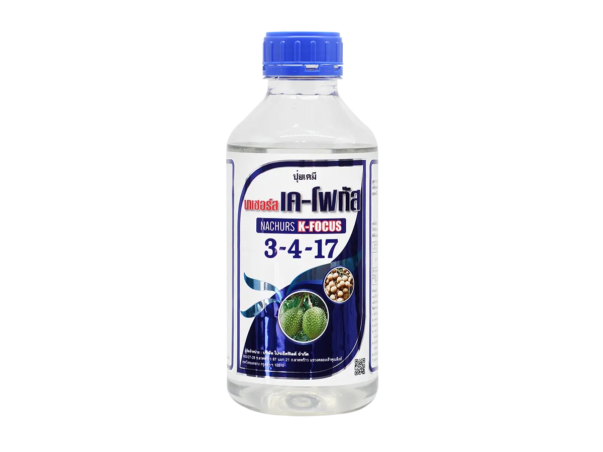 K-Focus5-ปรับใสใหม่-2