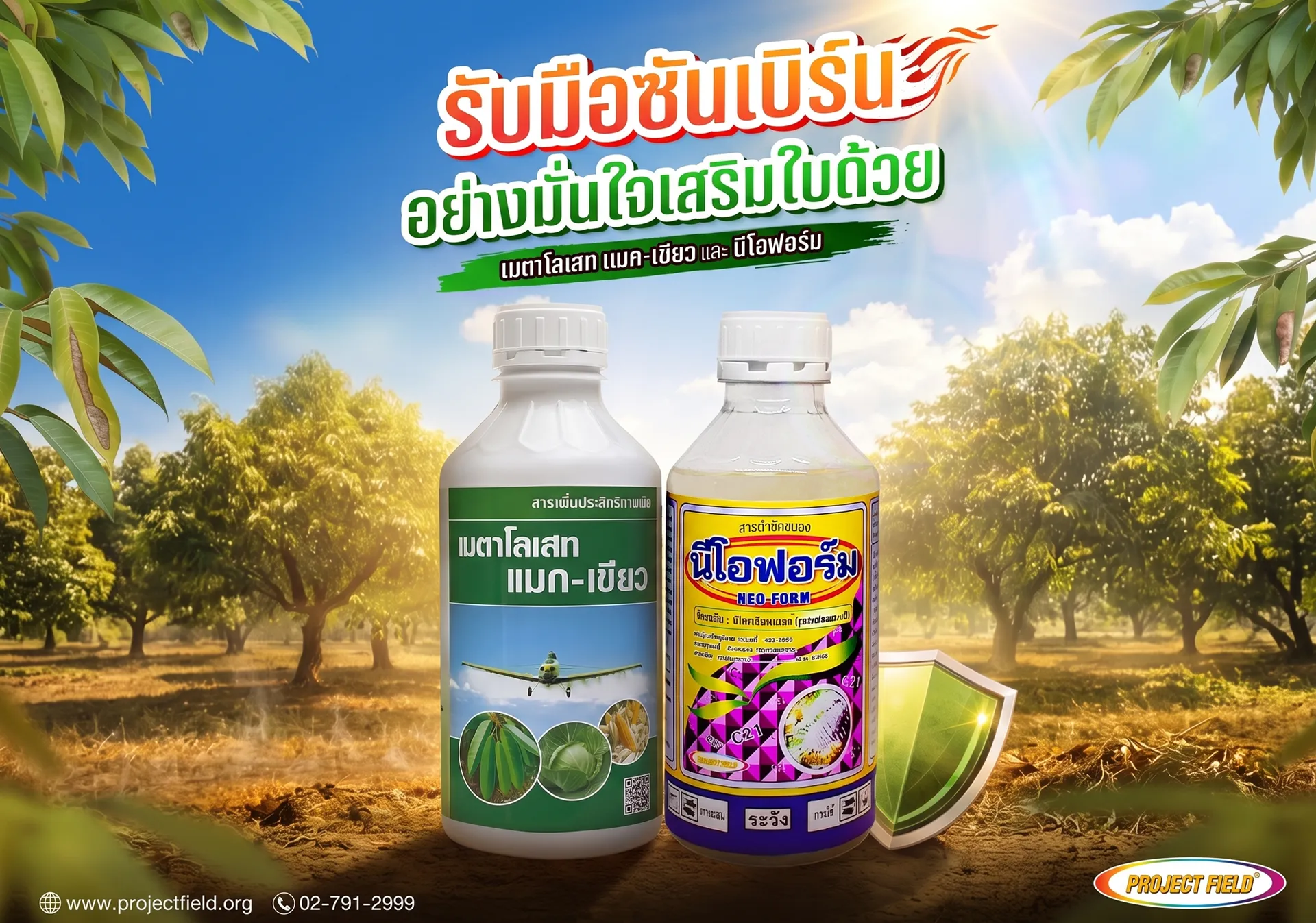 ทุเรียนใบไหม้แดด
