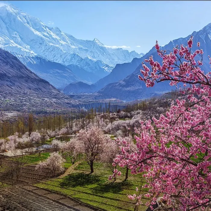 PakistanSpring