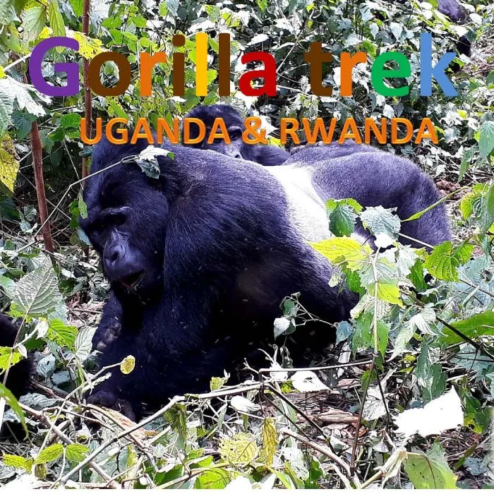 Uganda-RwandaTrek