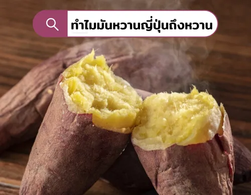 กว่าจะมาเป็นมันหวานญี่ปุ่นในวันนี้