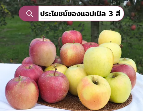 ประโยชน์ของแอปเปิลผลไม้ที่ดีต่อร่างกาย