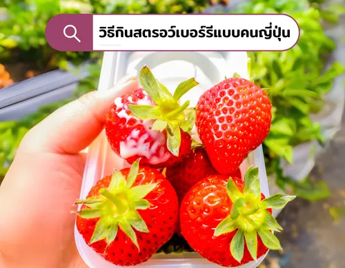 วิธีกินสตรอว์เบอร์รีแบบคนญี่ปุ่น