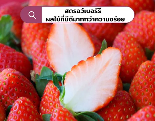 สตรอว์เบอร์รีอร่อยดีมีประโยชน์