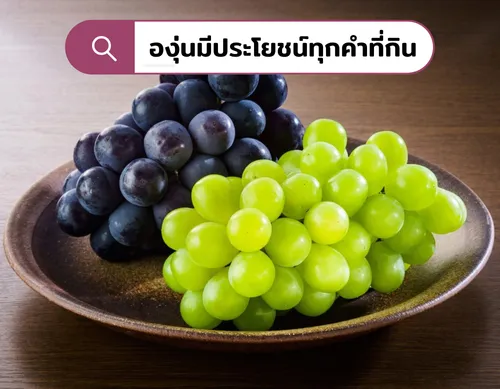 องุ่นมีประโยชน์ทุกคำที่ทาน