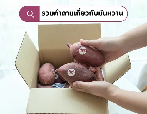 อยู่ที่ไหนเราก็ส่งขอเพียงคุณสั่ง