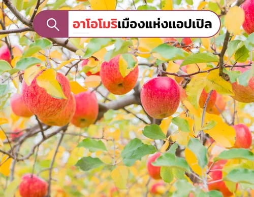 อาโอโมริเมืองแห่งแอปเปิล