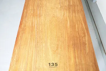 135gallery3
