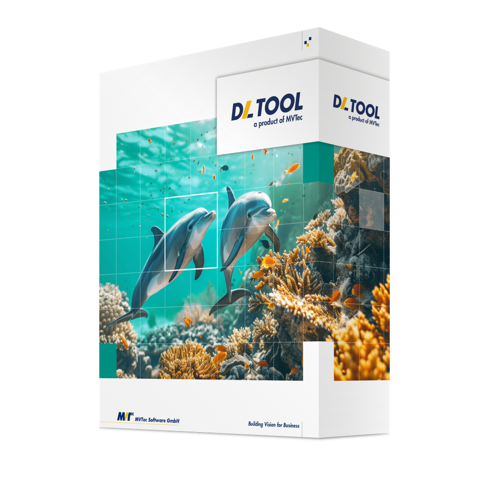 dltsoftwareboxrgbrighttransparent