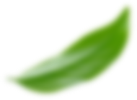 leave