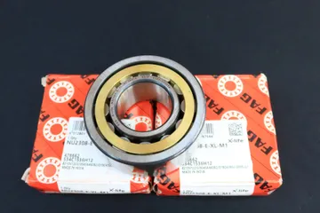 IMG0247