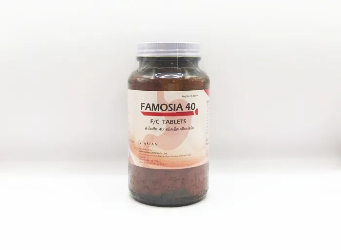 FAMOSIA40mg1000'T-1