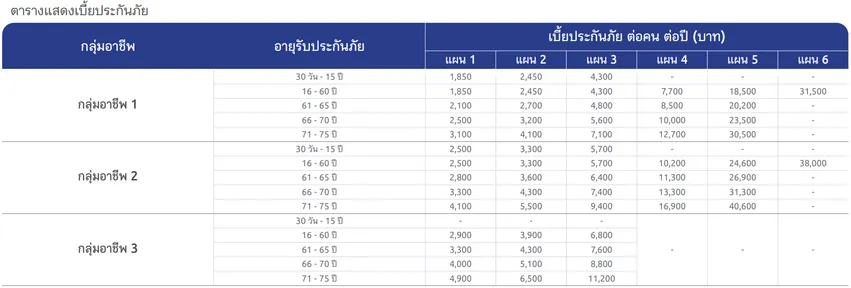 ตารางเบี้ยประกัน