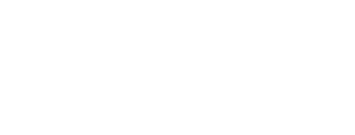 logo-tnp