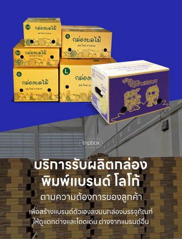tnpboxslideMobile3
