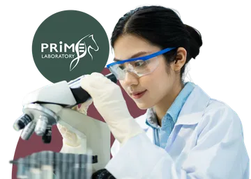 Prem Pal Lab Prime Laboratory (Bangkok) – บริการตรวจสุขภาพและวินิจฉัยโรคระดับพรีเมียม